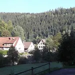 Ferienwohnung-schoenmuenzblick-urlaub-im-nationalpark-schwarzwald-schwarzwald-plus-inklusive
