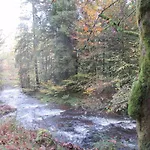 Ferienwohnung-schoenmuenzblick-urlaub-im-nationalpark-schwarzwald-schwarzwald-plus-inklusive Apartment *