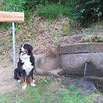 Ferienwohnung-schoenmuenzblick-urlaub-im-nationalpark-schwarzwald-schwarzwald-plus-inklusive