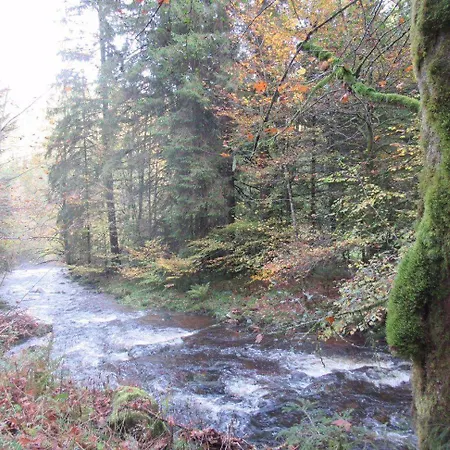 아파트 Ferienwohnung-schoenmuenzblick-urlaub-im-nationalpark-schwarzwald-schwarzwald-plus-inklusive *