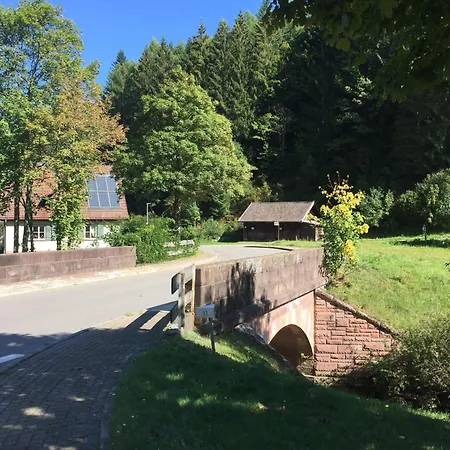 아파트 Ferienwohnung-schoenmuenzblick-urlaub-im-nationalpark-schwarzwald-schwarzwald-plus-inklusive