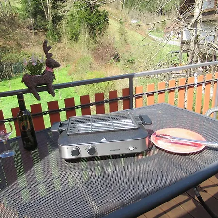 Ferienwohnung-schoenmuenzblick-urlaub-im-nationalpark-schwarzwald-schwarzwald-plus-inklusive * 바이에르스브론