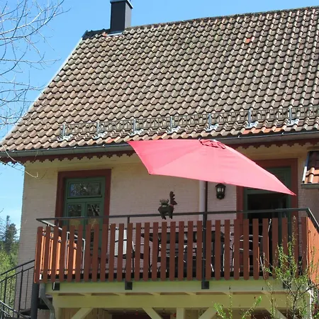Ferienwohnung-schoenmuenzblick-urlaub-im-nationalpark-schwarzwald-schwarzwald-plus-inklusive 아파트
