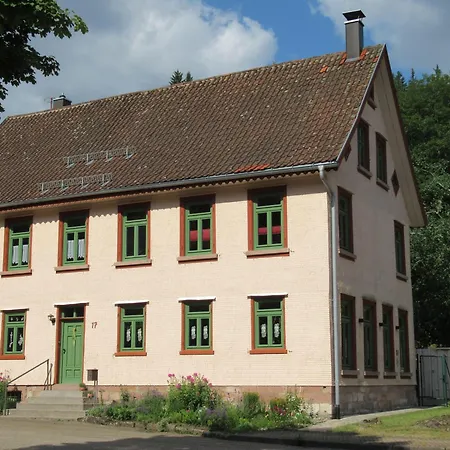 Apartment Ferienwohnung-schoenmuenzblick-urlaub-im-nationalpark-schwarzwald-schwarzwald-plus-inklusive