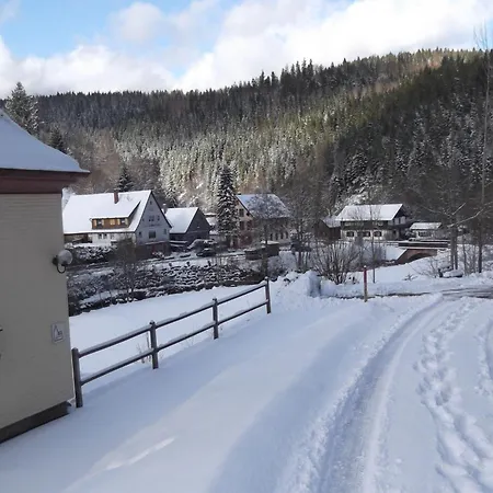 Ferienwohnung-schoenmuenzblick-urlaub-im-nationalpark-schwarzwald-schwarzwald-plus-inklusive Apartment Baiersbronn