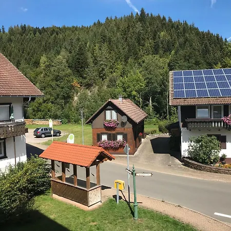 Ferienwohnung-schoenmuenzblick-urlaub-im-nationalpark-schwarzwald-schwarzwald-plus-inklusive * Baiersbronn