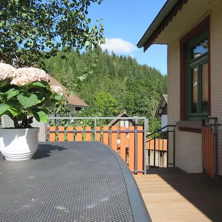 Ferienwohnung-schoenmuenzblick-urlaub-im-nationalpark-schwarzwald-schwarzwald-plus-inklusive Apartment Baiersbronn