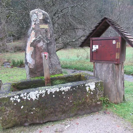 Ferienwohnung-schoenmuenzblick-urlaub-im-nationalpark-schwarzwald-schwarzwald-plus-inklusive * Baiersbronn