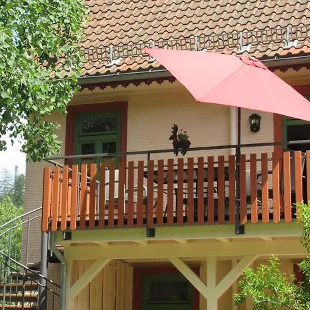 Ferienwohnung-schoenmuenzblick-urlaub-im-nationalpark-schwarzwald-schwarzwald-plus-inklusive شقة *