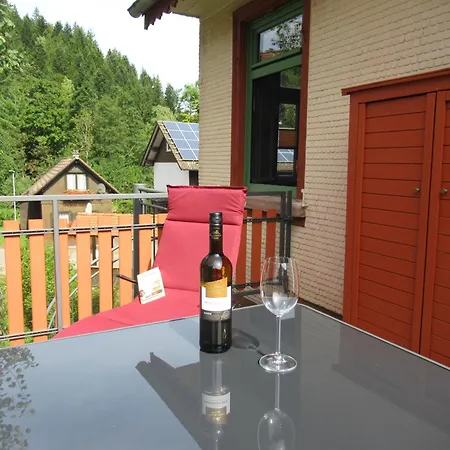 شقة Ferienwohnung-schoenmuenzblick-urlaub-im-nationalpark-schwarzwald-schwarzwald-plus-inklusive