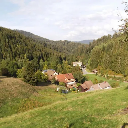 شقة Ferienwohnung-schoenmuenzblick-urlaub-im-nationalpark-schwarzwald-schwarzwald-plus-inklusive