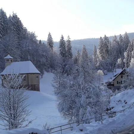 Ferienwohnung-schoenmuenzblick-urlaub-im-nationalpark-schwarzwald-schwarzwald-plus-inklusive شقة بيرسبرون