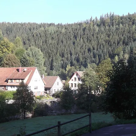 شقة Ferienwohnung-schoenmuenzblick-urlaub-im-nationalpark-schwarzwald-schwarzwald-plus-inklusive بيرسبرون