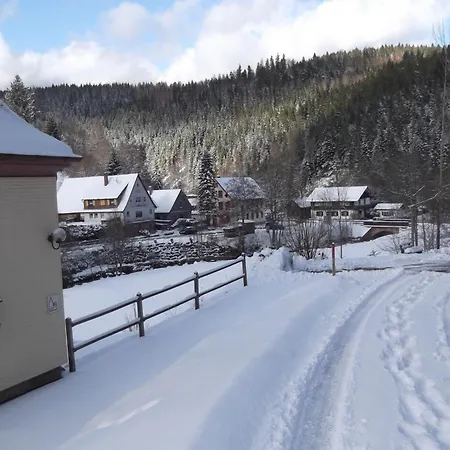 Ferienwohnung-schoenmuenzblick-urlaub-im-nationalpark-schwarzwald-schwarzwald-plus-inklusive بيرسبرون