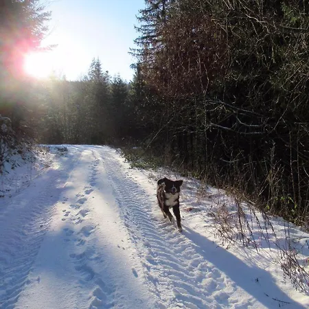 شقة Ferienwohnung-schoenmuenzblick-urlaub-im-nationalpark-schwarzwald-schwarzwald-plus-inklusive *