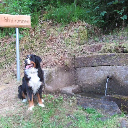 Ferienwohnung-schoenmuenzblick-urlaub-im-nationalpark-schwarzwald-schwarzwald-plus-inklusive بيرسبرون