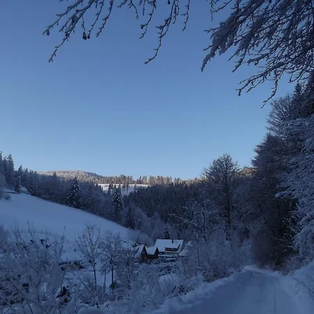 Ferienwohnung-schoenmuenzblick-urlaub-im-nationalpark-schwarzwald-schwarzwald-plus-inklusive *