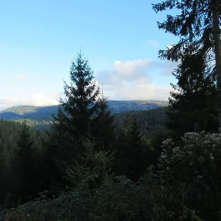 Ferienwohnung-schoenmuenzblick-urlaub-im-nationalpark-schwarzwald-schwarzwald-plus-inklusive * بيرسبرون