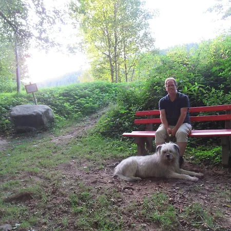Ferienwohnung-schoenmuenzblick-urlaub-im-nationalpark-schwarzwald-schwarzwald-plus-inklusive بيرسبرون