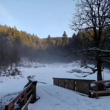 شقة Ferienwohnung-schoenmuenzblick-urlaub-im-nationalpark-schwarzwald-schwarzwald-plus-inklusive