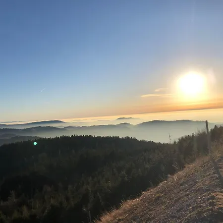 Ferienwohnung-schoenmuenzblick-urlaub-im-nationalpark-schwarzwald-schwarzwald-plus-inklusive شقة *