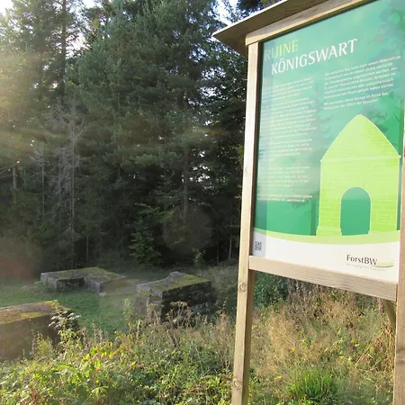 Ferienwohnung-schoenmuenzblick-urlaub-im-nationalpark-schwarzwald-schwarzwald-plus-inklusive شقة *
