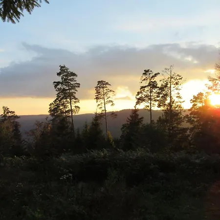 Ferienwohnung-schoenmuenzblick-urlaub-im-nationalpark-schwarzwald-schwarzwald-plus-inklusive شقة بيرسبرون