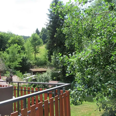 Apartament Ferienwohnung-schoenmuenzblick-urlaub-im-nationalpark-schwarzwald-schwarzwald-plus-inklusive