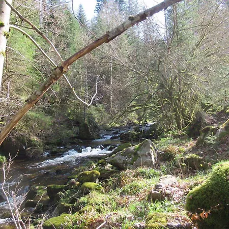 Ferienwohnung-schoenmuenzblick-urlaub-im-nationalpark-schwarzwald-schwarzwald-plus-inklusive 아파트