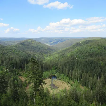Apartament Ferienwohnung-schoenmuenzblick-urlaub-im-nationalpark-schwarzwald-schwarzwald-plus-inklusive *