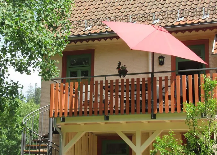 Ferienwohnung-schoenmuenzblick-urlaub-im-nationalpark-schwarzwald-schwarzwald-plus-inklusive Апартаменты *