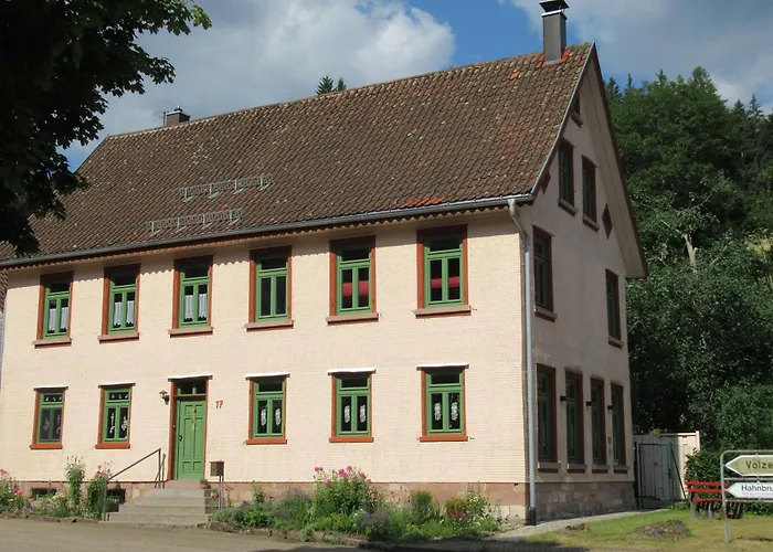 Ferienwohnung-schoenmuenzblick-urlaub-im-nationalpark-schwarzwald-schwarzwald-plus-inklusive *