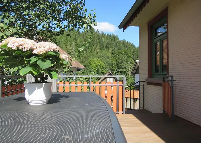 Ferienwohnung-schoenmuenzblick-urlaub-im-nationalpark-schwarzwald-schwarzwald-plus-inklusive *