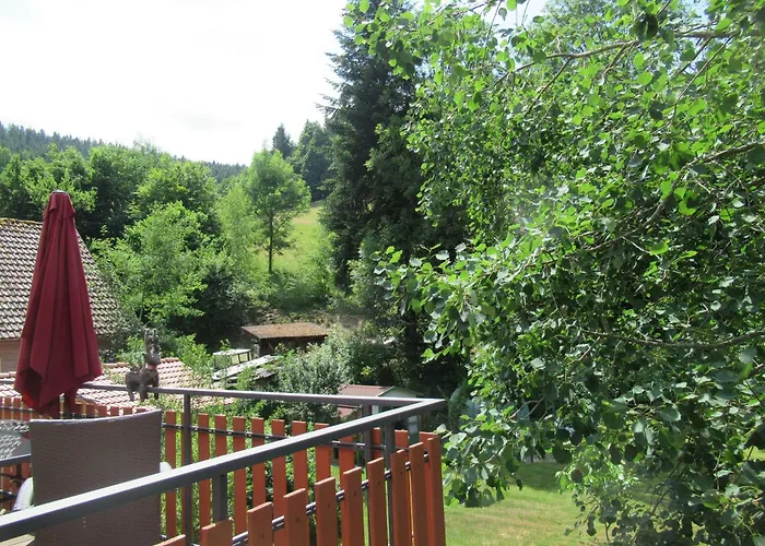 Ferienwohnung-schoenmuenzblick-urlaub-im-nationalpark-schwarzwald-schwarzwald-plus-inklusive * Байрсброн