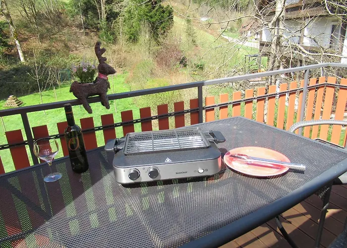 Ferienwohnung-schoenmuenzblick-urlaub-im-nationalpark-schwarzwald-schwarzwald-plus-inklusive