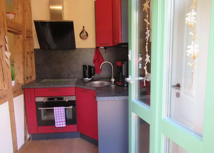 Ferienwohnung-schoenmuenzblick-urlaub-im-nationalpark-schwarzwald-schwarzwald-plus-inklusive * Байрсброн