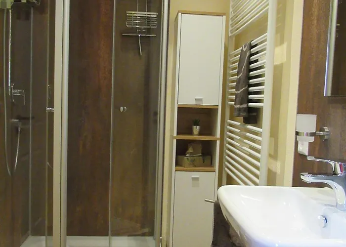 Ferienwohnung-schoenmuenzblick-urlaub-im-nationalpark-schwarzwald-schwarzwald-plus-inklusive Байрсброн