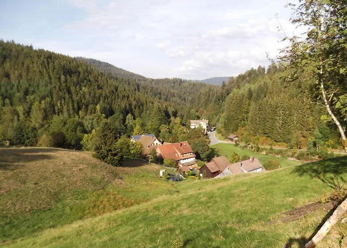 Апартаменты Ferienwohnung-schoenmuenzblick-urlaub-im-nationalpark-schwarzwald-schwarzwald-plus-inklusive