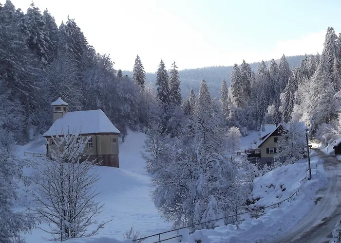 Ferienwohnung-schoenmuenzblick-urlaub-im-nationalpark-schwarzwald-schwarzwald-plus-inklusive Апартаменты Байрсброн