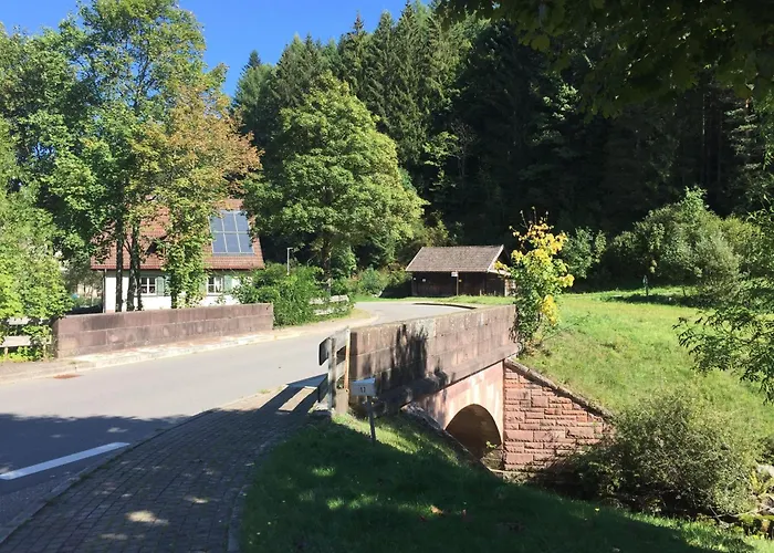 Ferienwohnung-schoenmuenzblick-urlaub-im-nationalpark-schwarzwald-schwarzwald-plus-inklusive *