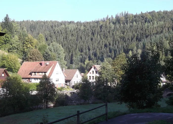 Апартаменты Ferienwohnung-schoenmuenzblick-urlaub-im-nationalpark-schwarzwald-schwarzwald-plus-inklusive Байрсброн