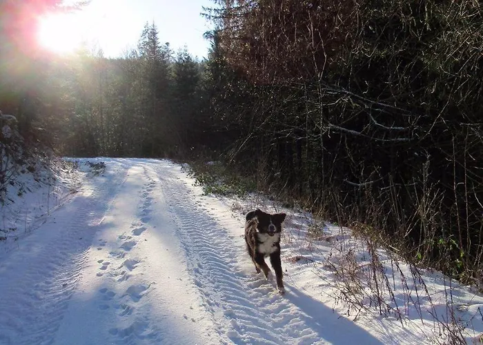 Апартаменты Ferienwohnung-schoenmuenzblick-urlaub-im-nationalpark-schwarzwald-schwarzwald-plus-inklusive *