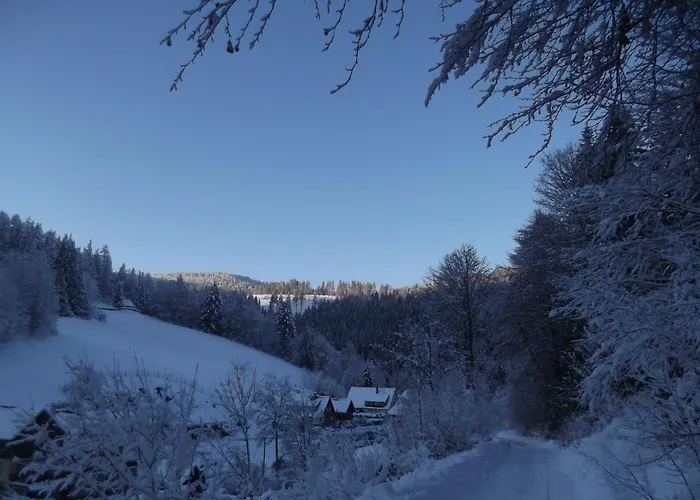 Ferienwohnung-schoenmuenzblick-urlaub-im-nationalpark-schwarzwald-schwarzwald-plus-inklusive *