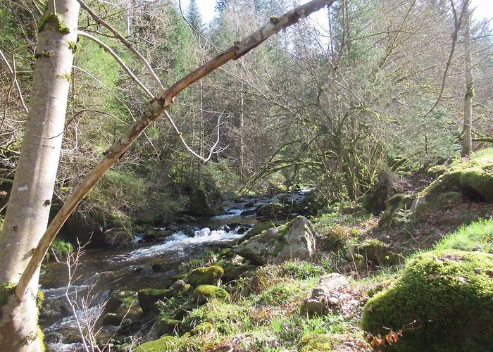 Ferienwohnung-schoenmuenzblick-urlaub-im-nationalpark-schwarzwald-schwarzwald-plus-inklusive Апартаменты Байрсброн