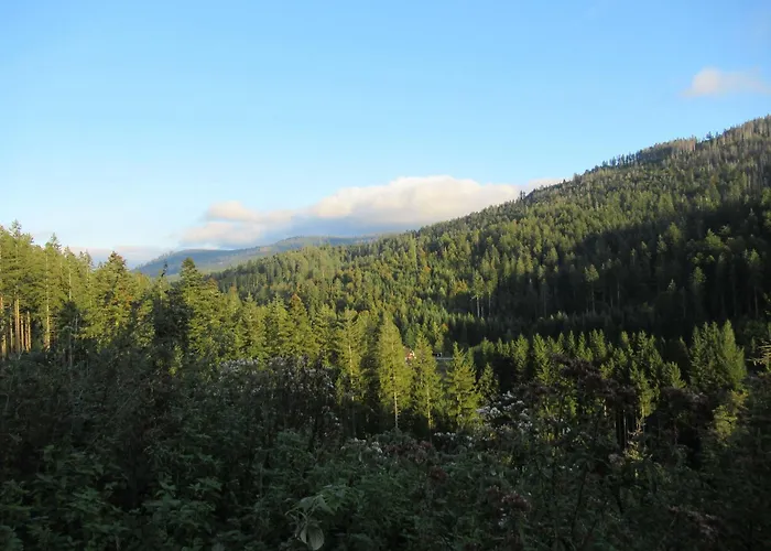 Ferienwohnung-schoenmuenzblick-urlaub-im-nationalpark-schwarzwald-schwarzwald-plus-inklusive Апартаменты