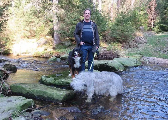 Ferienwohnung-schoenmuenzblick-urlaub-im-nationalpark-schwarzwald-schwarzwald-plus-inklusive * Байрсброн