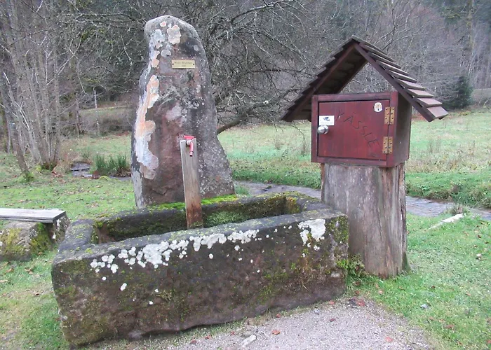 Апартаменты Ferienwohnung-schoenmuenzblick-urlaub-im-nationalpark-schwarzwald-schwarzwald-plus-inklusive *