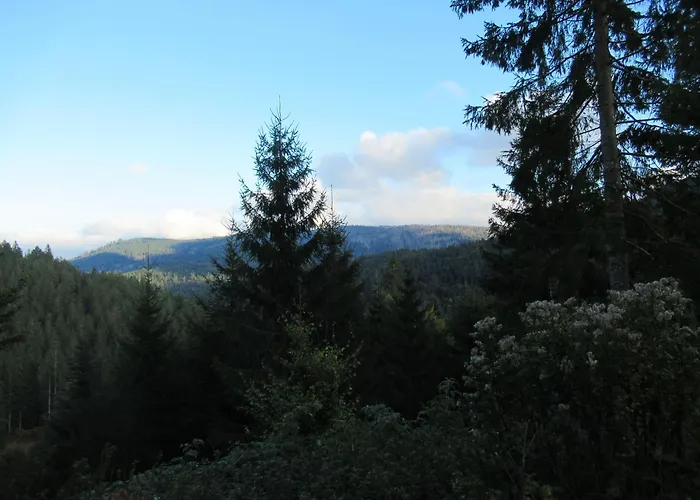 Ferienwohnung-schoenmuenzblick-urlaub-im-nationalpark-schwarzwald-schwarzwald-plus-inklusive * Байрсброн