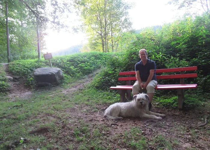 Ferienwohnung-schoenmuenzblick-urlaub-im-nationalpark-schwarzwald-schwarzwald-plus-inklusive Байрсброн