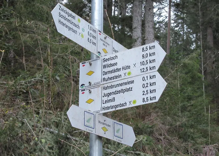 Ferienwohnung-schoenmuenzblick-urlaub-im-nationalpark-schwarzwald-schwarzwald-plus-inklusive Апартаменты *